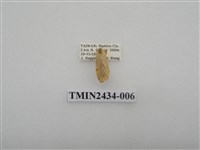 藏品(雙線苔蛾)的圖片